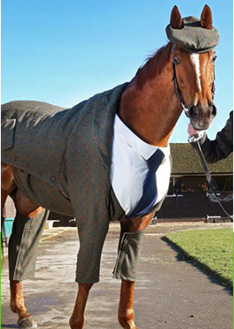 上海金慈實(shí)業(yè)有限公司，丙綸高強(qiáng)絲，丙綸色絲，丙綸中空絲，丙綸異形絲，丙綸夜光紗，高強(qiáng)丙綸絲，丙綸工業(yè)絲，丙綸熒光絲